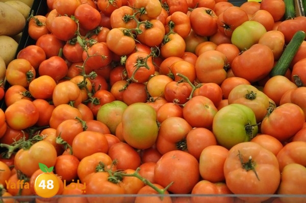 souq gan temar (17).JPG